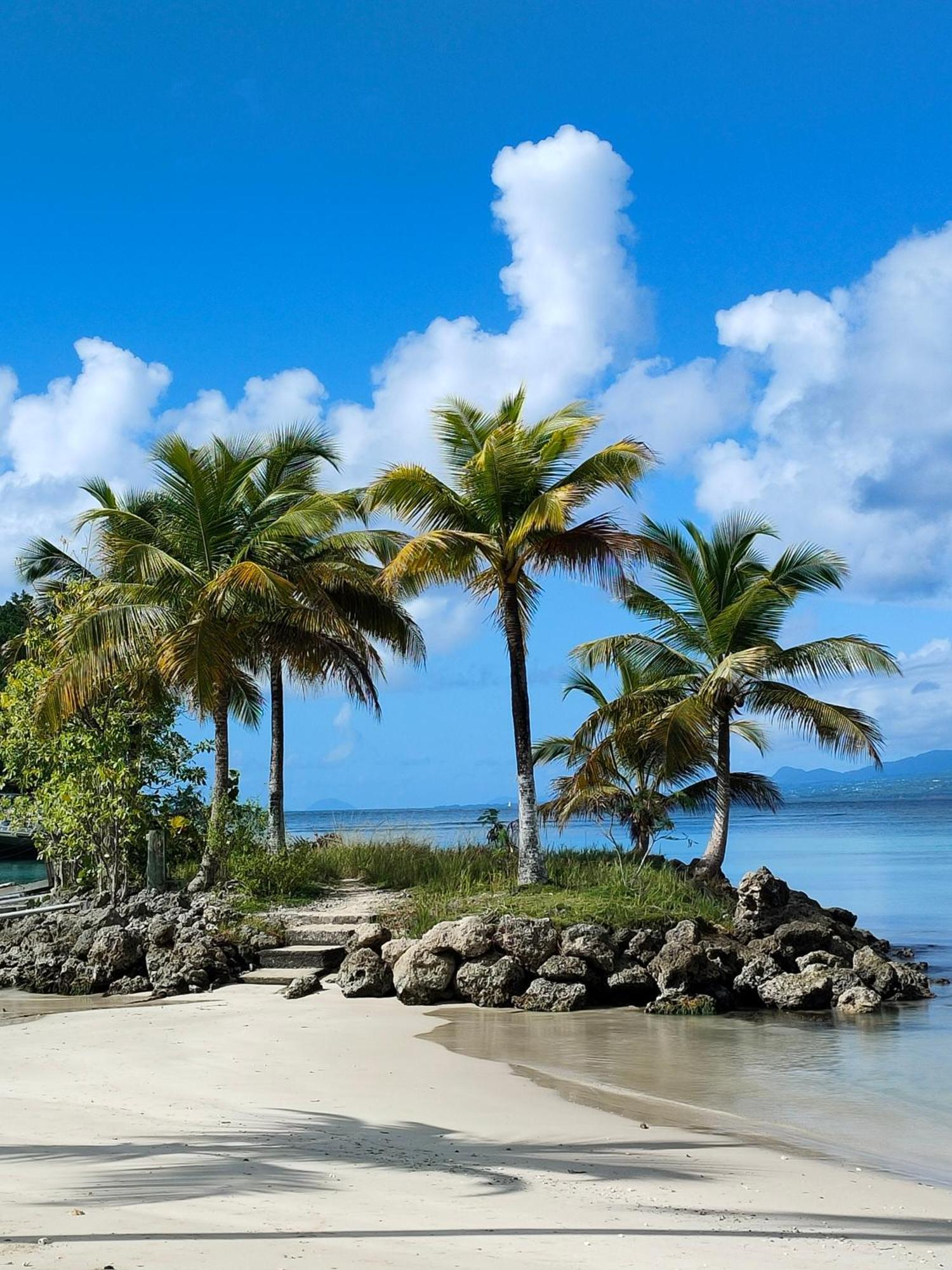 Studio Vue Mer, Pieds Dans L'Eau Le Gosier  Exteriör bild